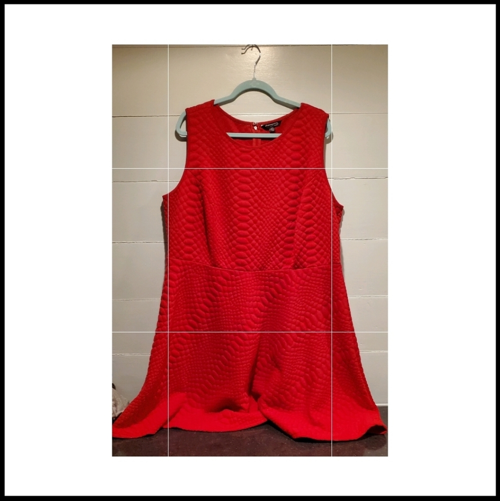 Plus Size Womens Fit & Flare Textured Dress